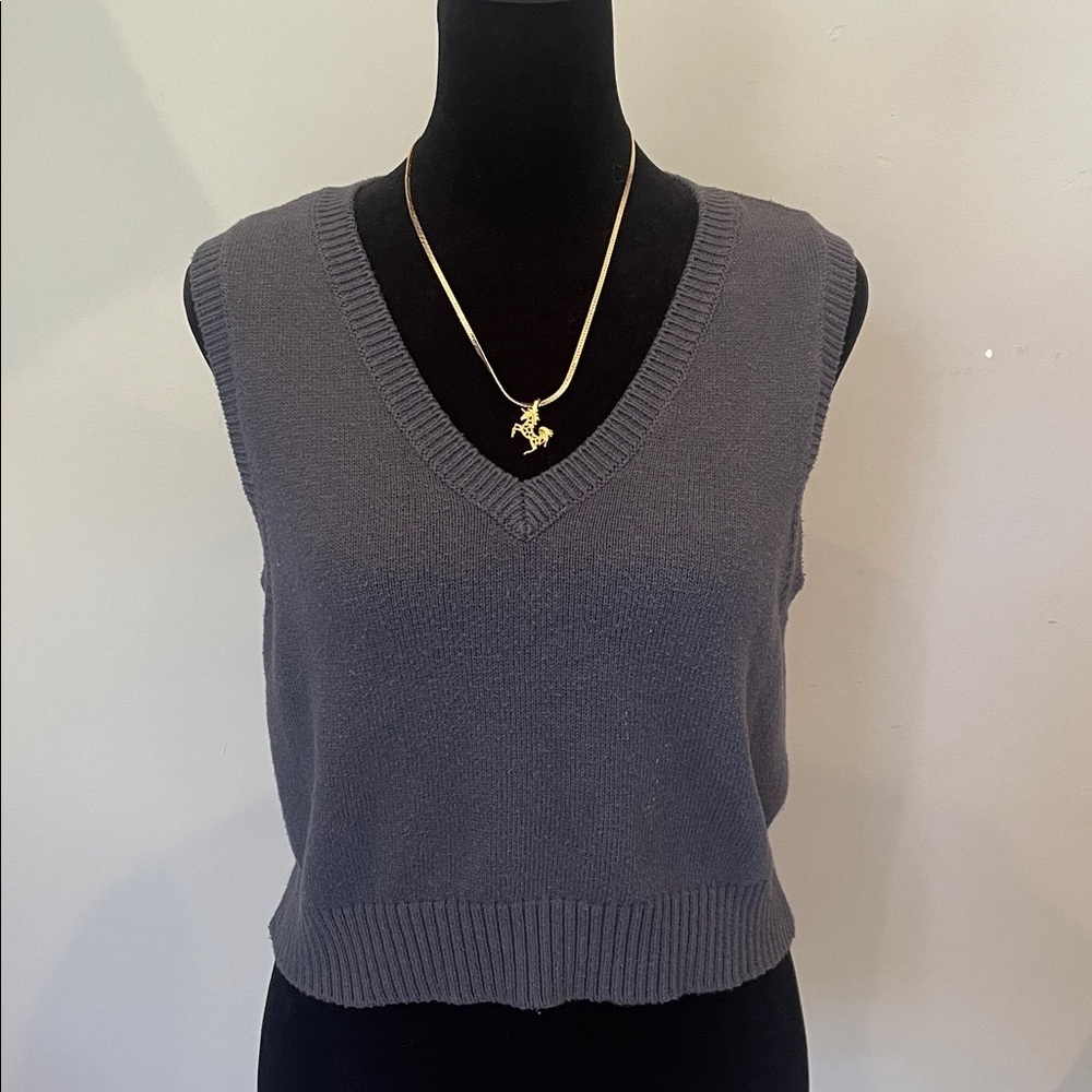 Aeropostale blue Sleeveless Knit Sweater Vest small